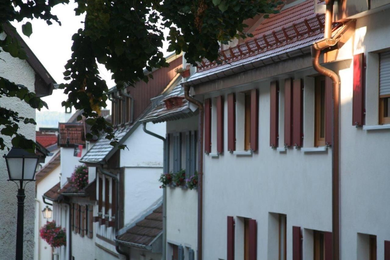Hotel Gaestehaus Theresia Garni Muhlheim an der Donau Екстериор снимка